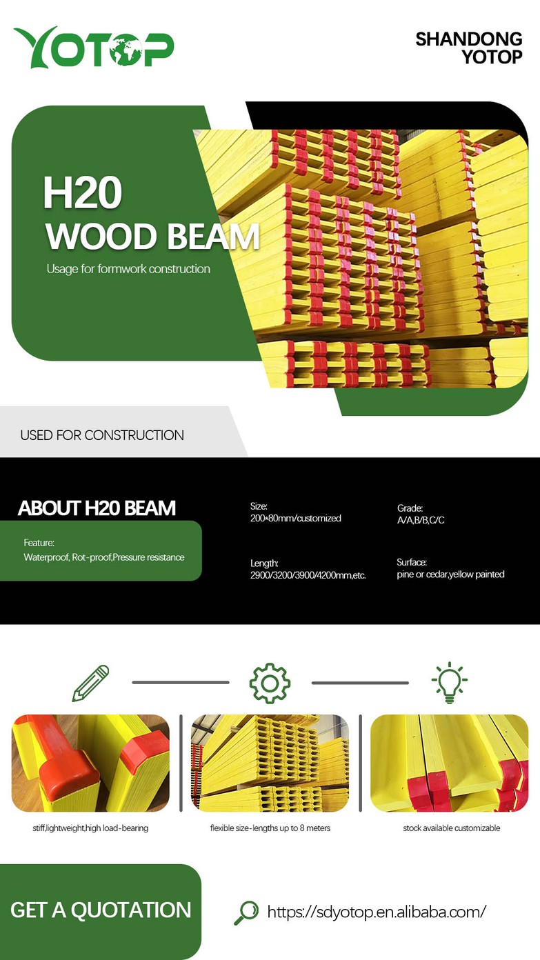 202602091711327351 202602091711327351